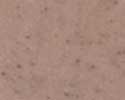 Canyon Granite